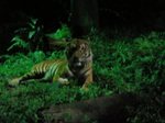 DSC01699.jpg