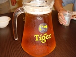 DSC01748.jpg